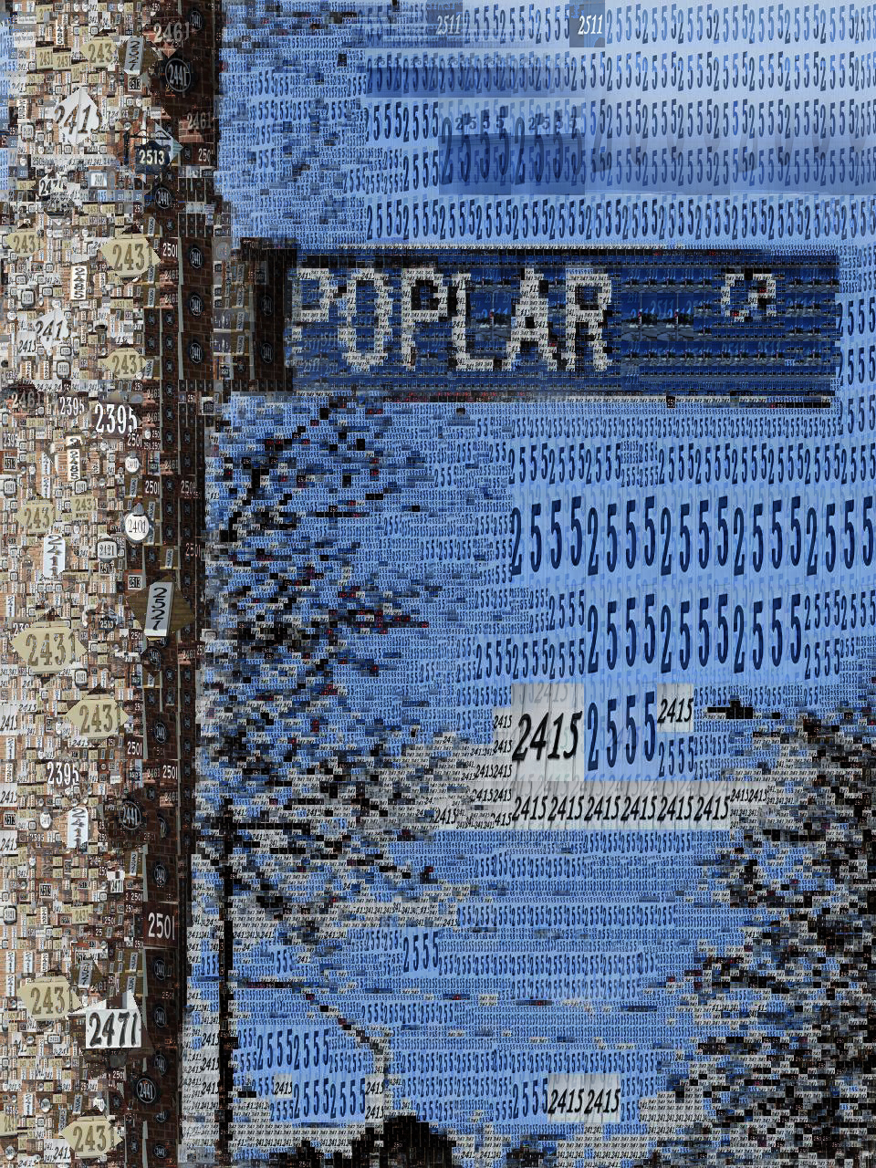 KhanNida_Poplar