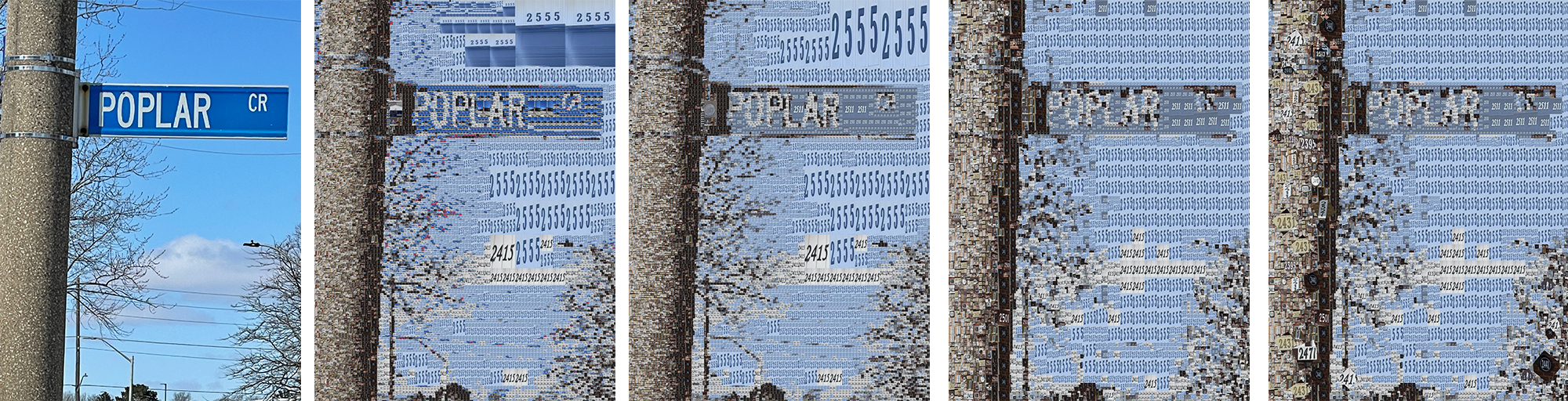 PoplarProcess